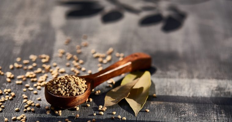 Épices,herbes aromatiques et condiments: Un brin d&rsquo;histoire