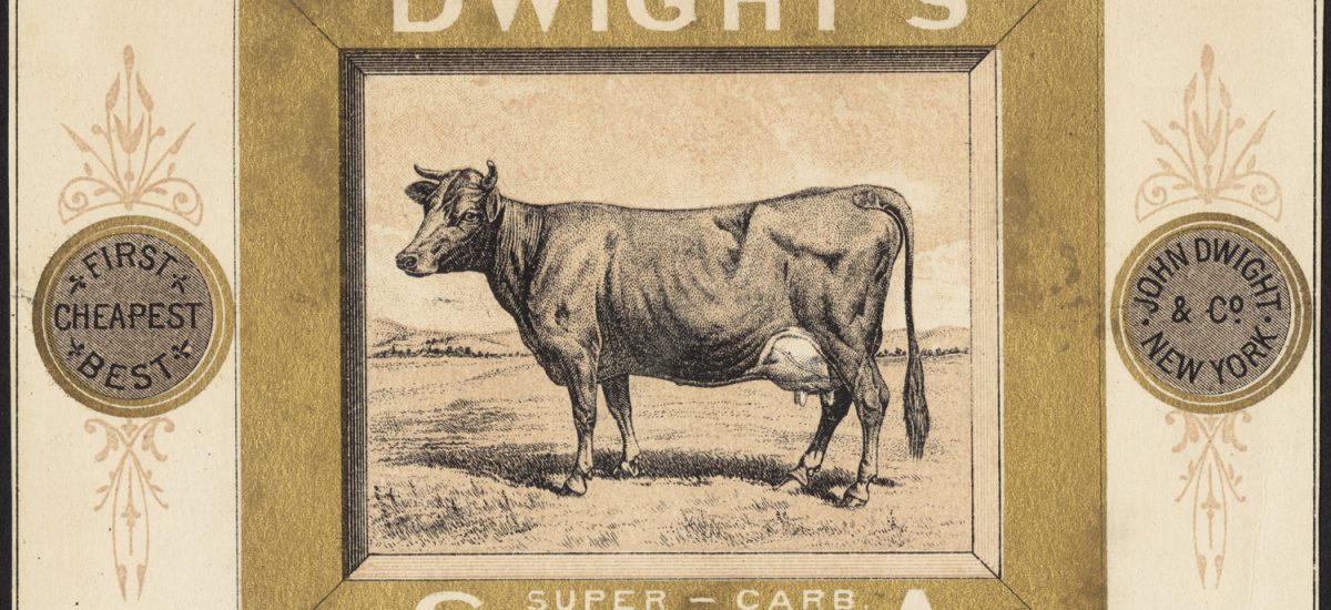 Bicarbonate de soude,levure chimique quelles sont les différences ?