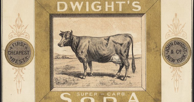 Bicarbonate de soude,levure chimique quelles sont les différences ?