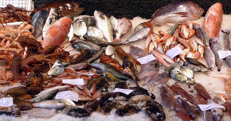 Frais! Vous avez dit frais? Comment bien choisir son poisson sans froncer du nez !
