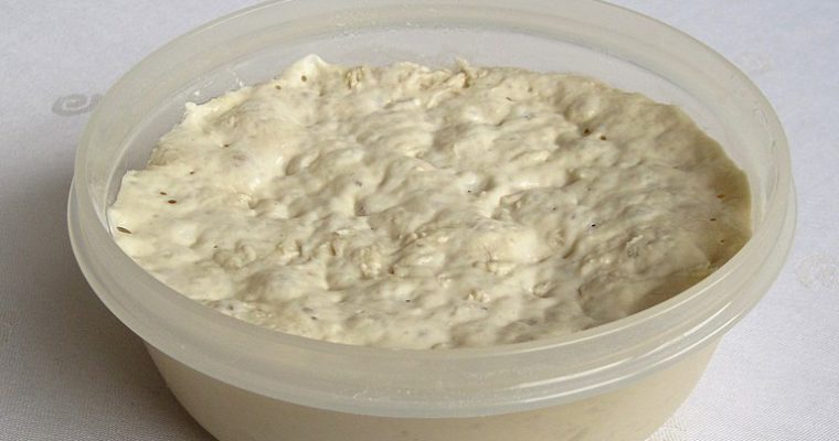 Tout sur la levure naturel et la fermentation bactérienne