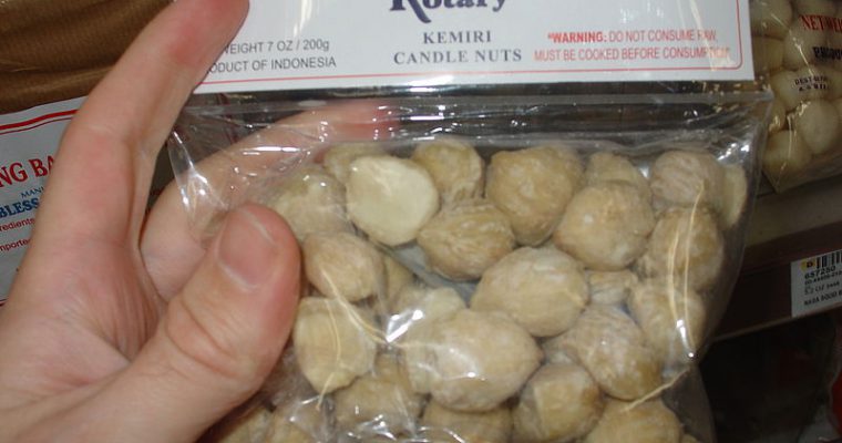 La noix de bancoulier (kemiri)