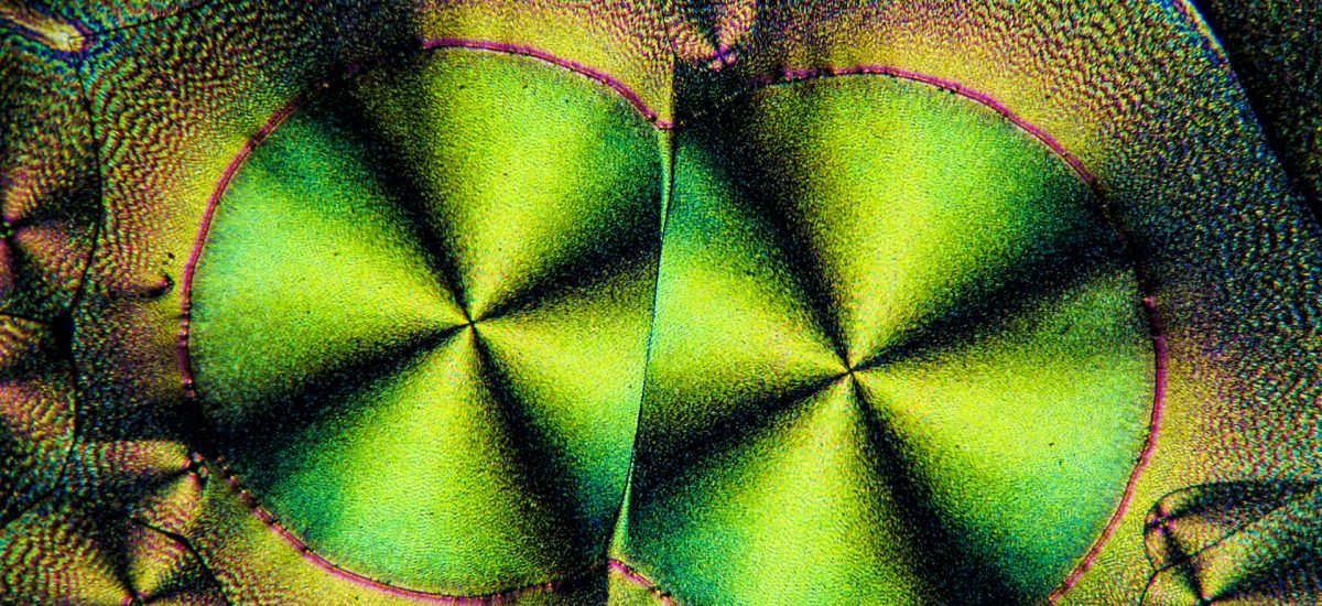 Additifs alimentaires 2