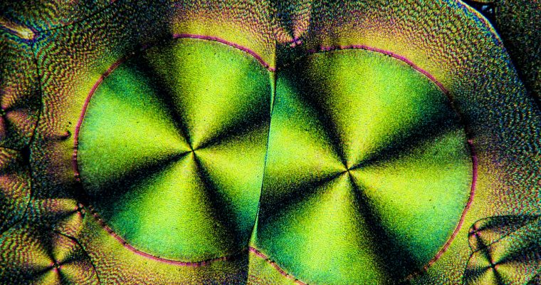 Additifs alimentaires 2