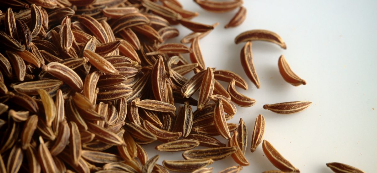 Le carvi: saveur encore méconnu de plusieurs mais au combien intéressante et agréable