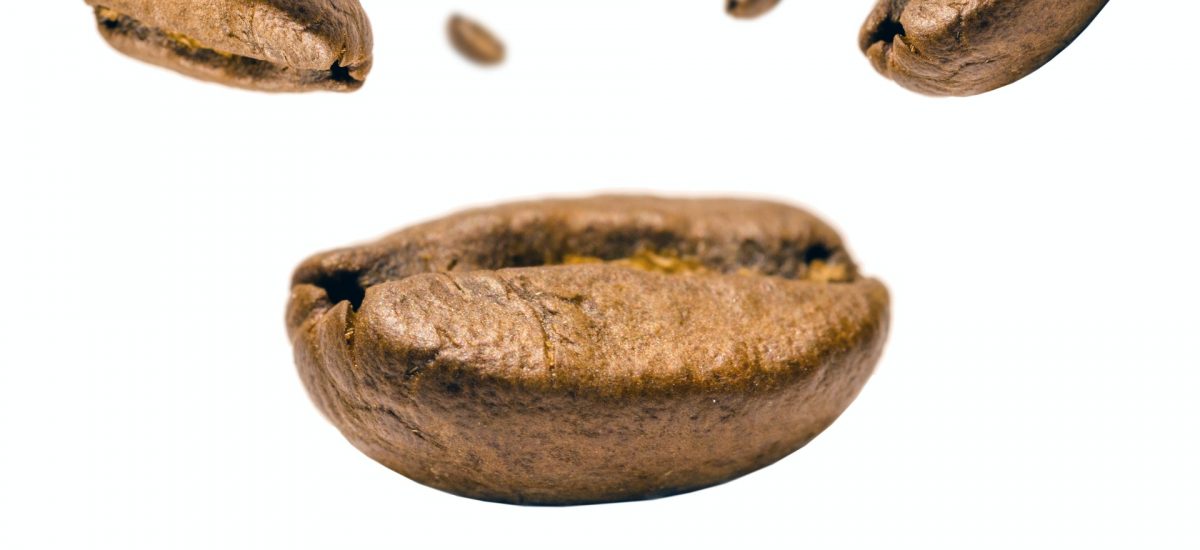 Le café (3ème partie)