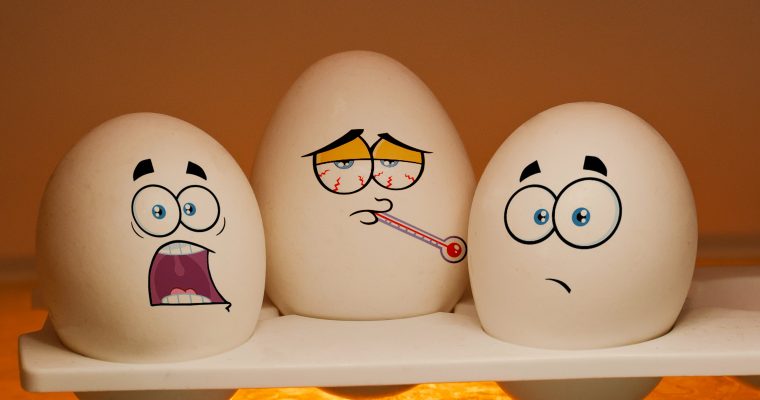 Les œufs: mais, à quoi servent-ils?