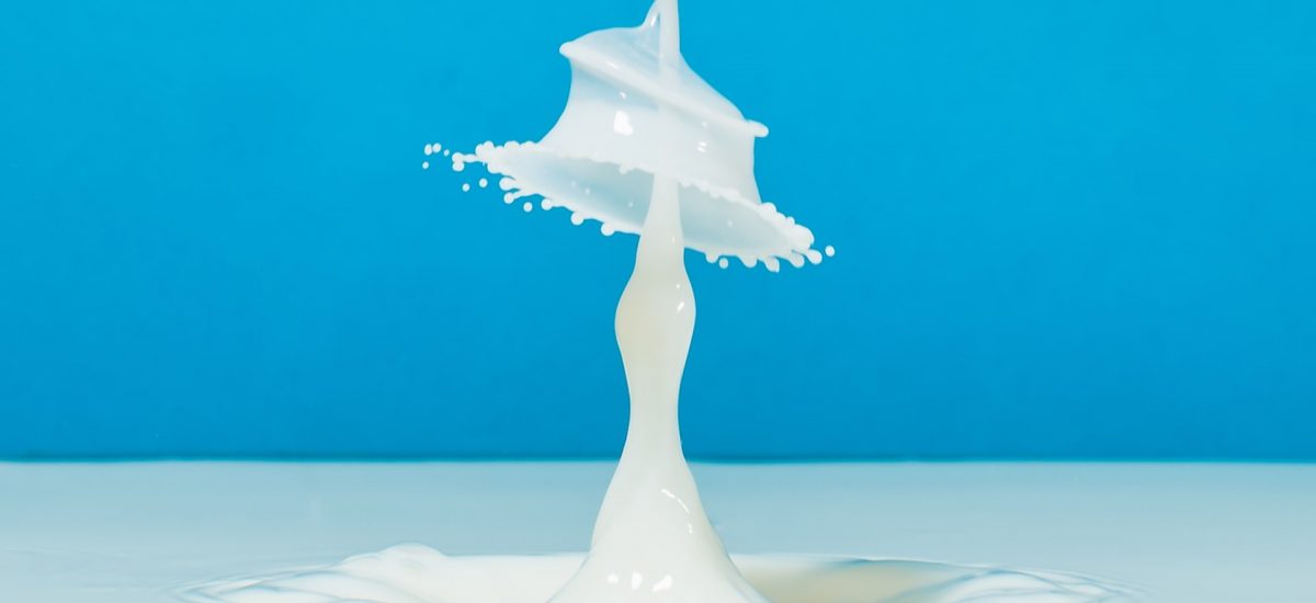 Les produits laitiers: Mais à quoi servent-ils?