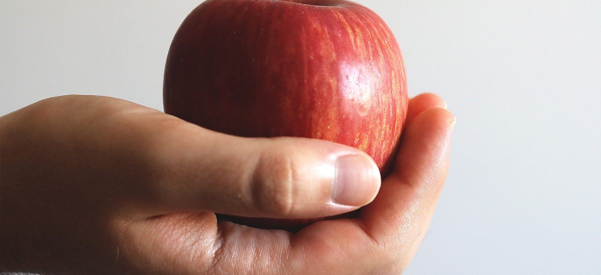 Barres aux pommes et à l&rsquo;avoine