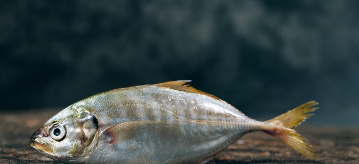Boulettes de poisson au zeste de citron