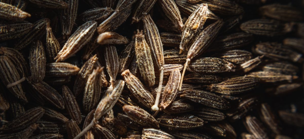 Le cumin