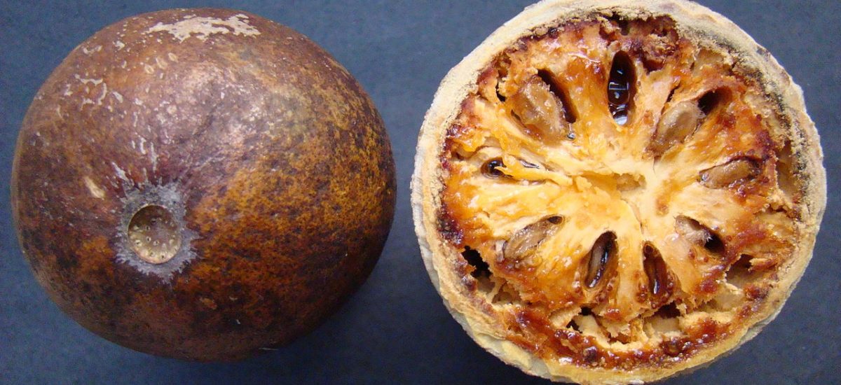 Fruits du Bael ou bilva