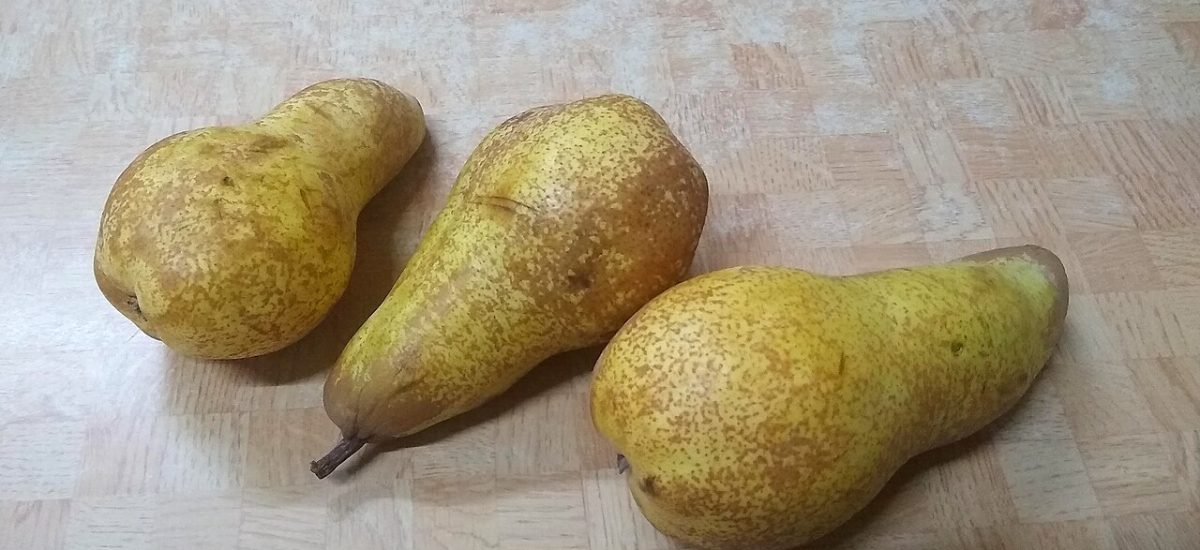 Poires Abate Fetel