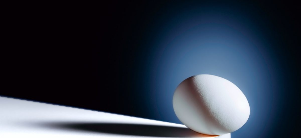 Questions d&rsquo;œuf