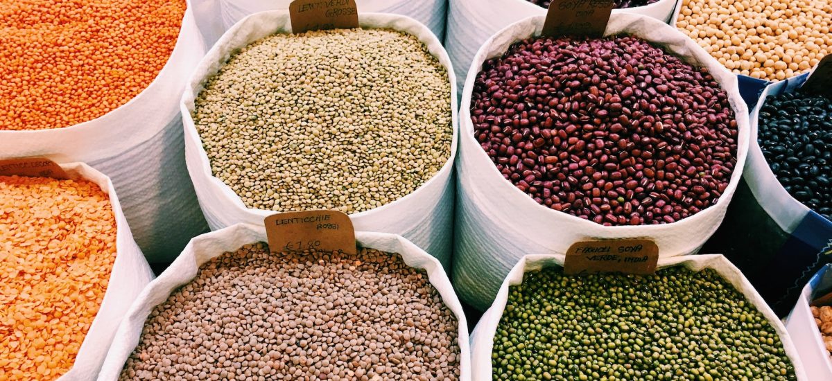 Différentes sortes de lentilles et comment les utiliser