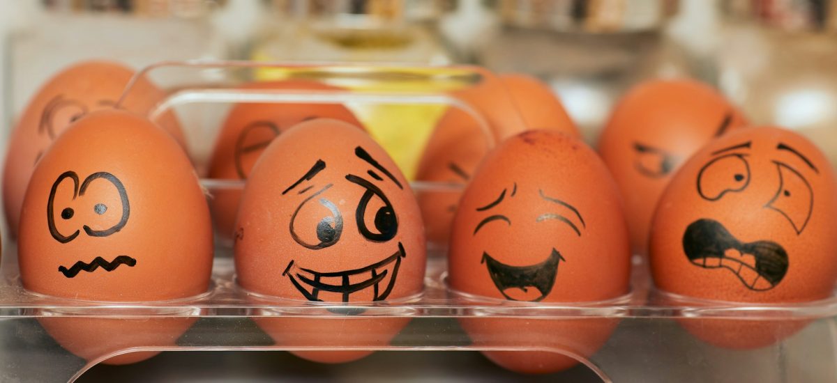 Les oeufs : En quelques chiffres