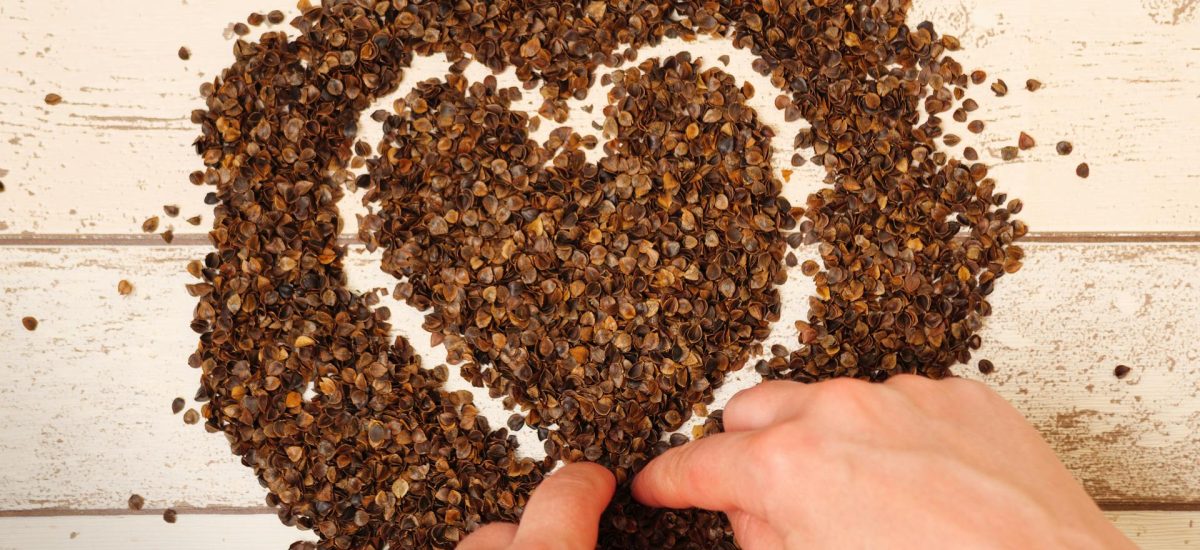 Les graines en cuisine? Oui définitivement