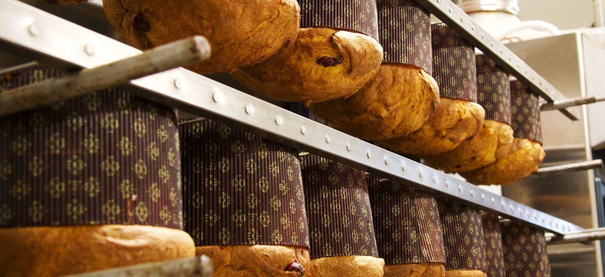 Origine et histoire du Panettone