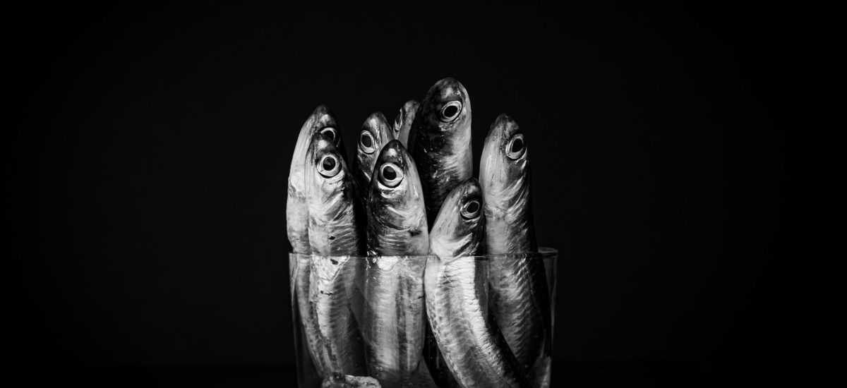 Poisson au gingembre et riz