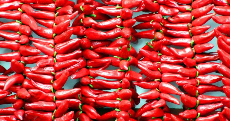 Ce qu’il faut savoir sur le piment d’Espelette