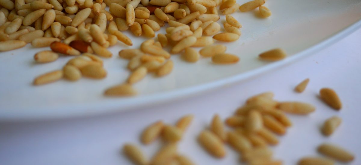 Quelques faits sur les graines de pin (pignons)