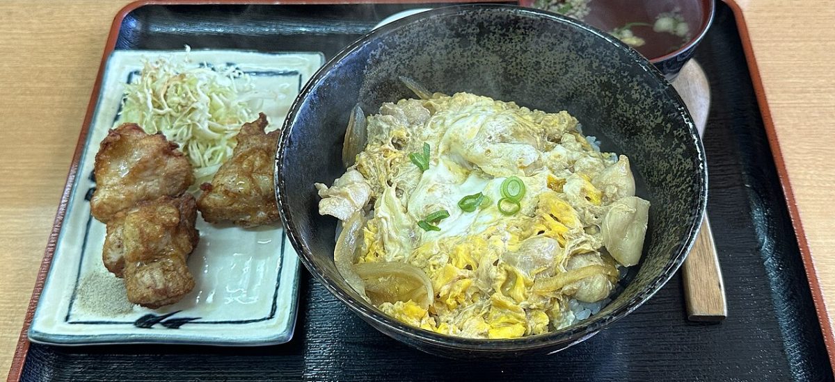 Si j&rsquo;avais les moyens, j&rsquo;irais au Japon découvrir …