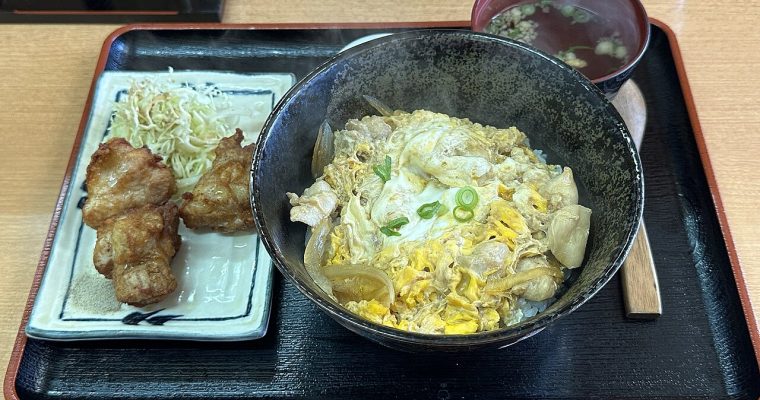 Si j’avais les moyens, j’irais au Japon découvrir …