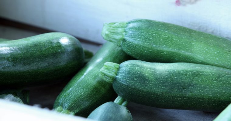 Muffin ou  galettes aux courgettes, ricotta et gruyère