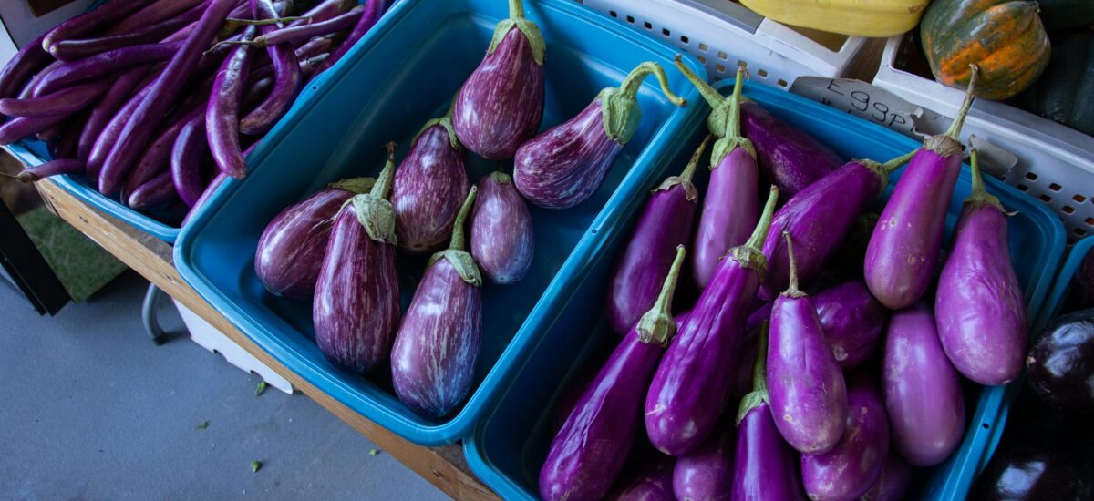 Que savez-vous sur les aubergines?