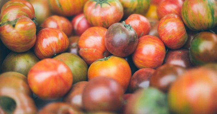Les tomates : les choisir et les cuisiner