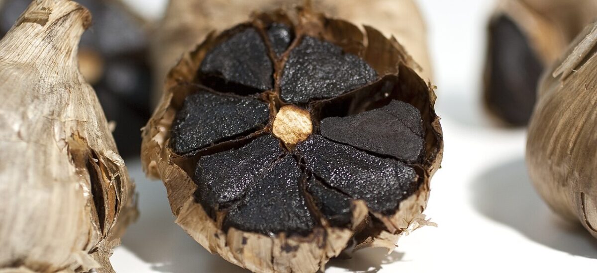 Tout savoir sur l&rsquo;ail noir