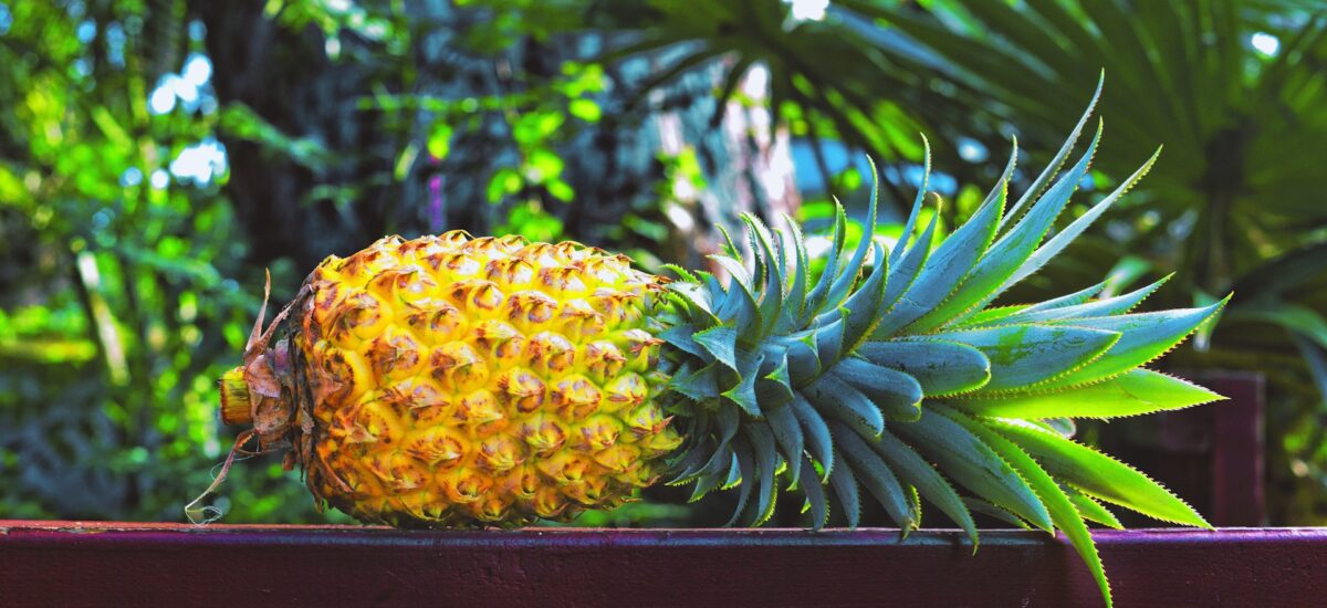 Muffins orange-ananas