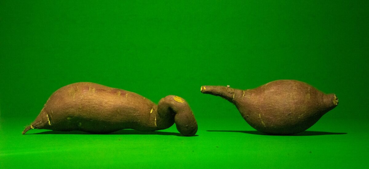 Muffins à la patate douce